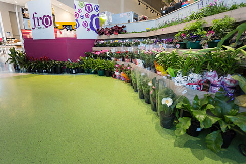 Breaking the Mould: There is More to Colour than Meets the Eye