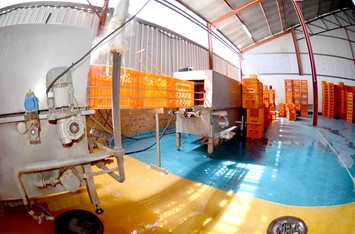 Flowcrete Delivers Time and Again in Dairy Processing Partnership