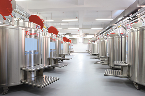 Factors to Consider when Specifying Flooring in Healthcare Environments